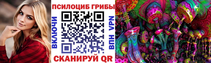 Купить закладки  Ува  Галлюциногенные грибы Psilocybine cubensis 